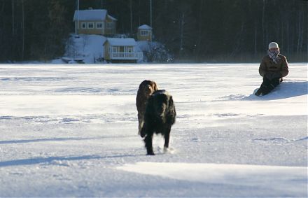 Idyllinen kuva talviselta kävelyretkeltä